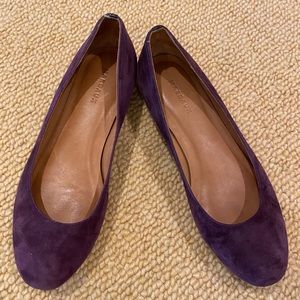 Margaux The Classic Ballet flat “plum” Suede